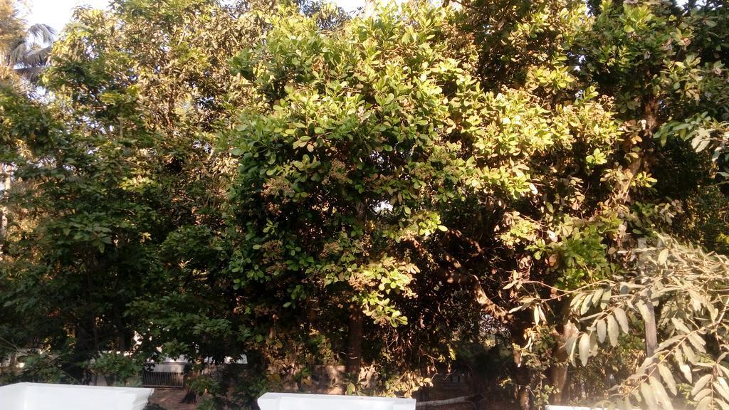 Coconut Garden Apartment Cherai Beach Ngoại thất bức ảnh
